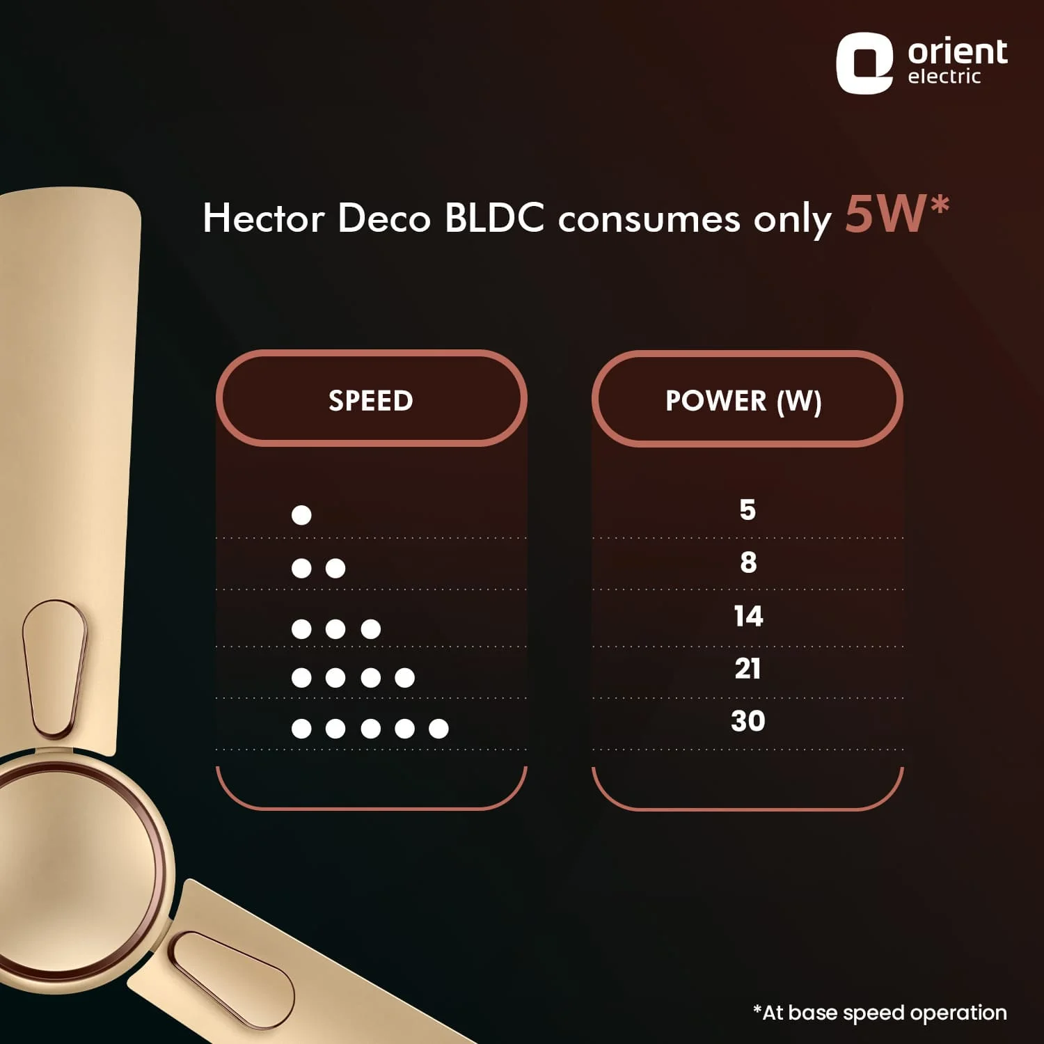 Hector Deco BLDC Ceiling Fan with Remote - Image 23