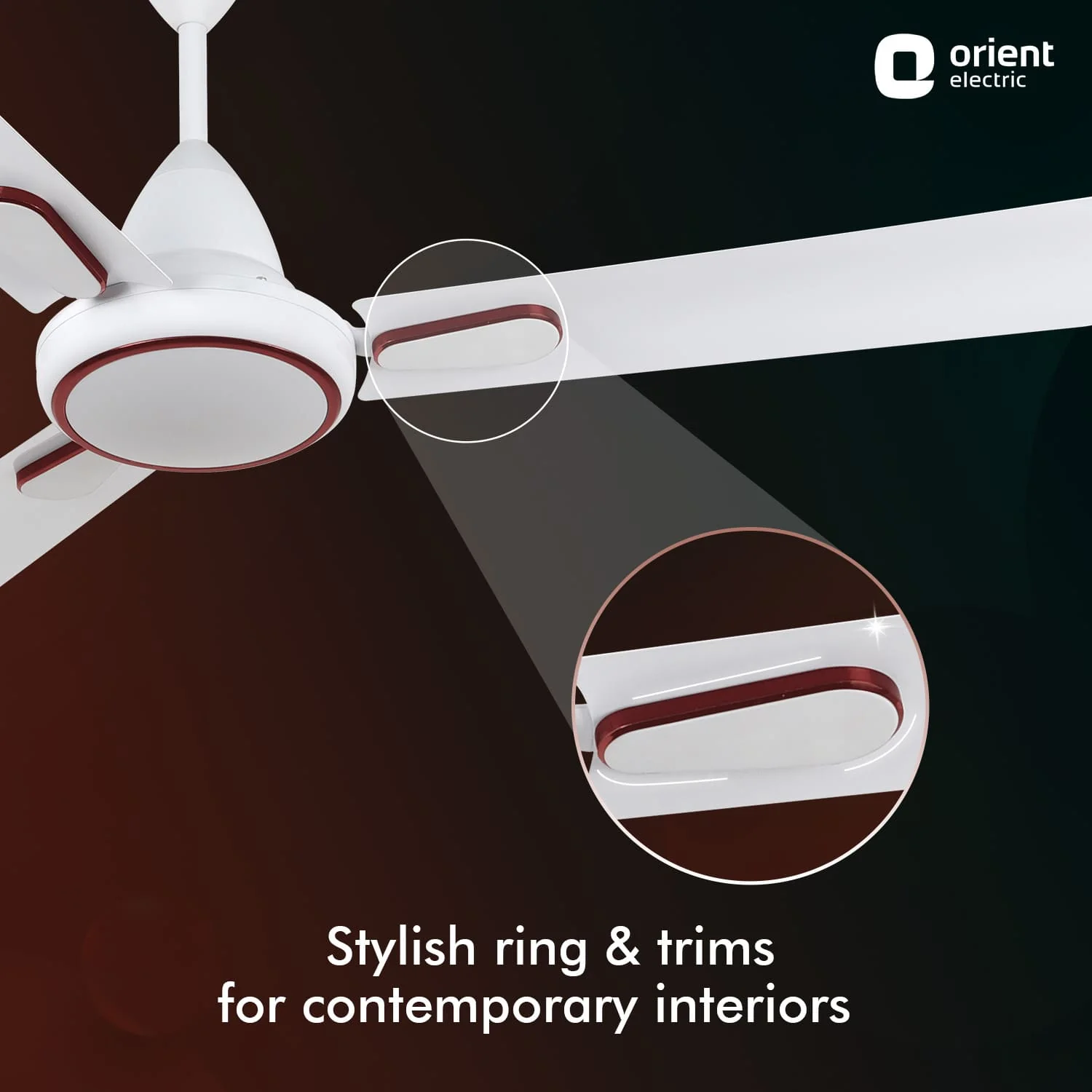 Hector Deco BLDC Ceiling Fan with Remote - Image 27