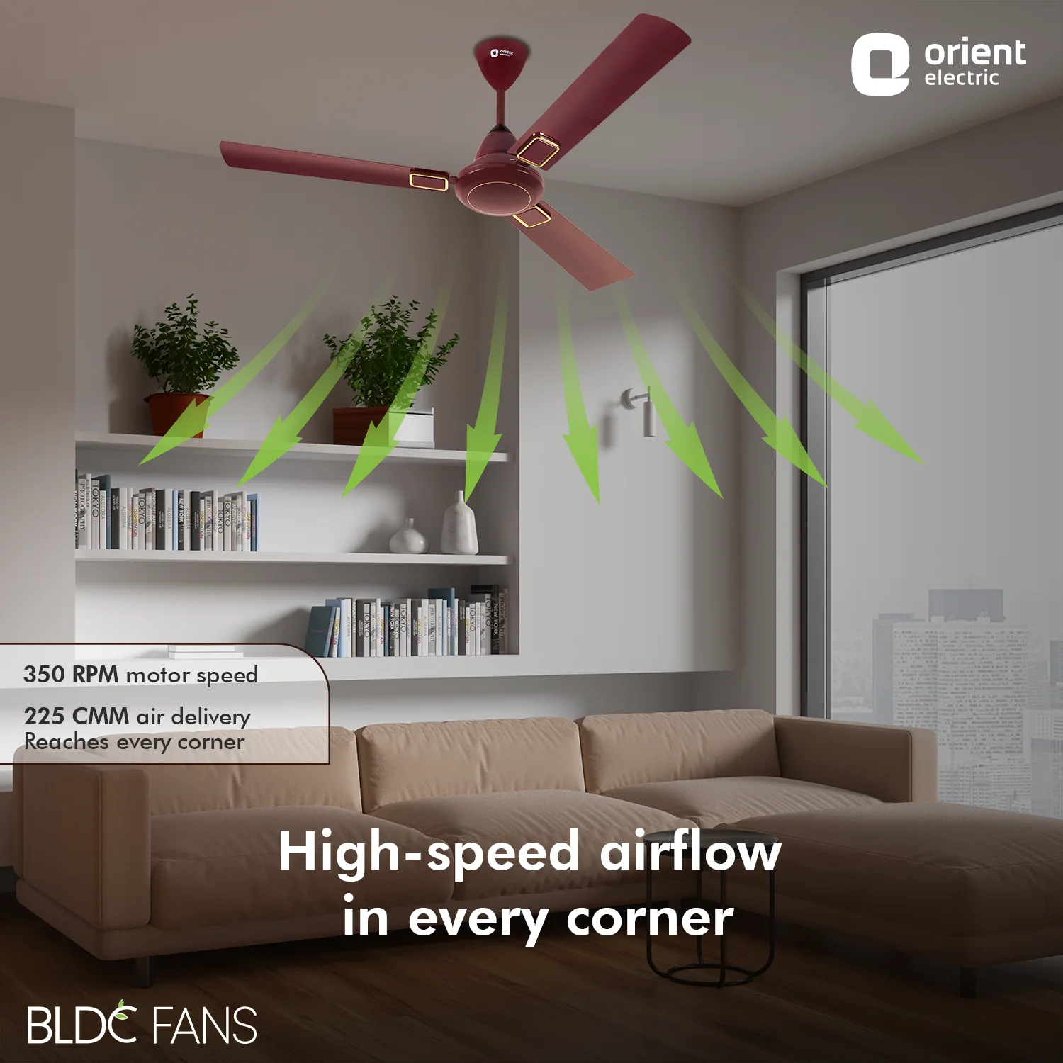 I-Falcon Deco BLDC Ceiling Fan - Image 19