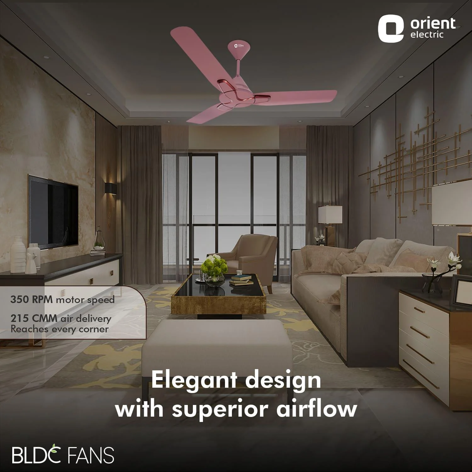 Jazz BLDC Decorative Ceiling Fan - Image 4