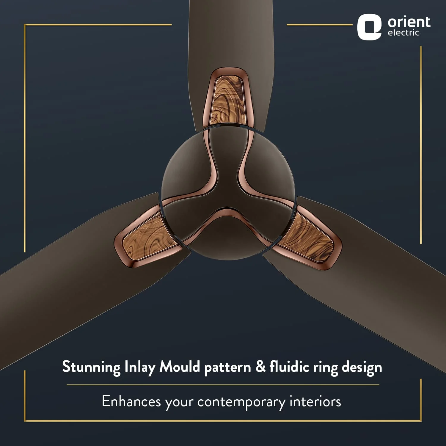 Jazz Trendz Decorative Ceiling Fan - Image 3