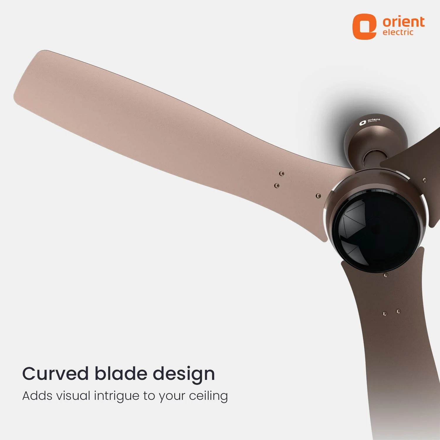 Aeon Antidust BLDC Ceiling Fan | 5-YEAR WARRANTY - Image 33
