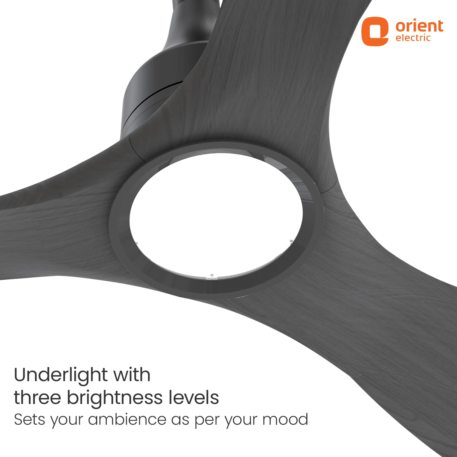 Aerosense Smart BLDC Ceiling Fan | 5 Year Warranty - Image 10