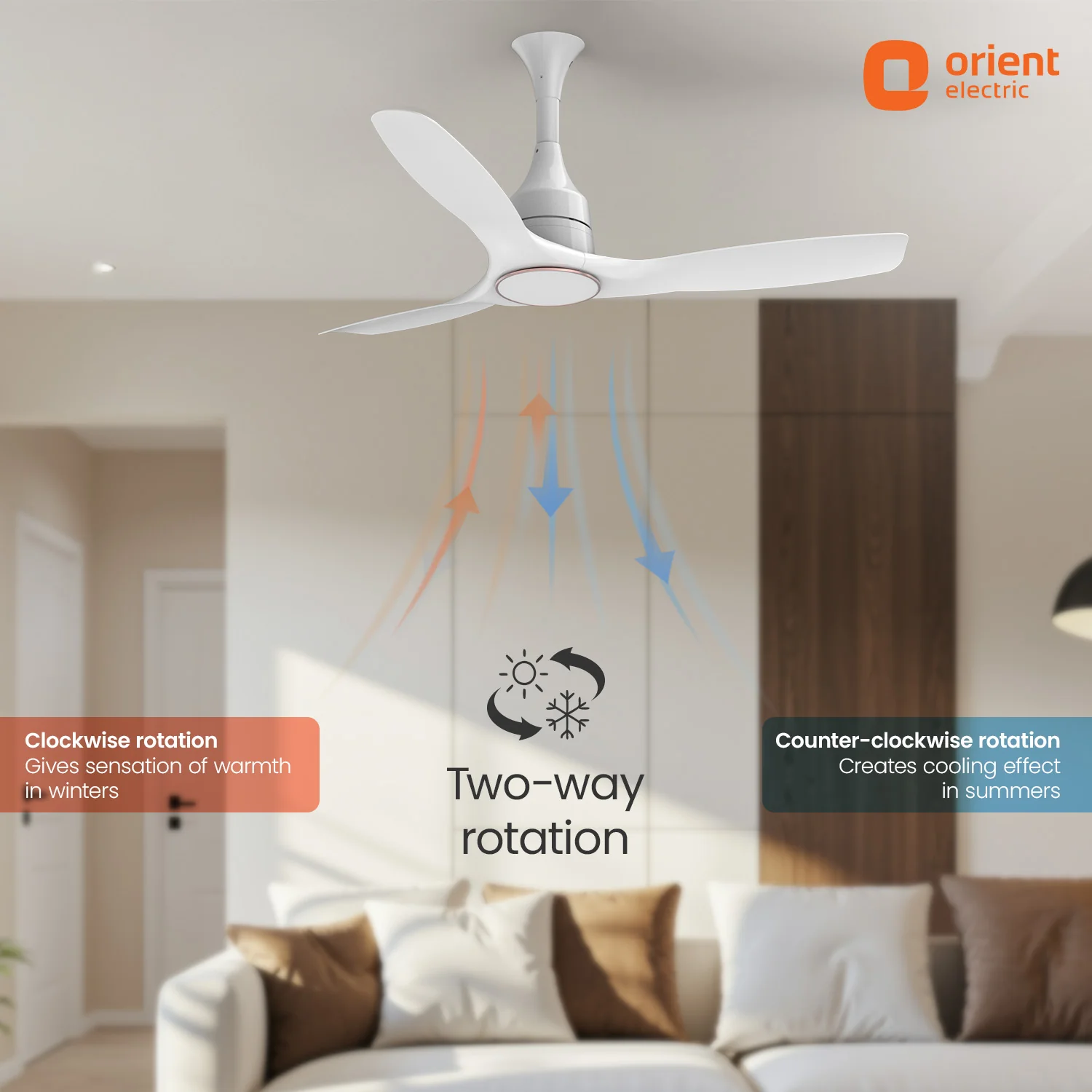 Aerosense Smart BLDC Ceiling Fan | 5 Year Warranty - Image 41