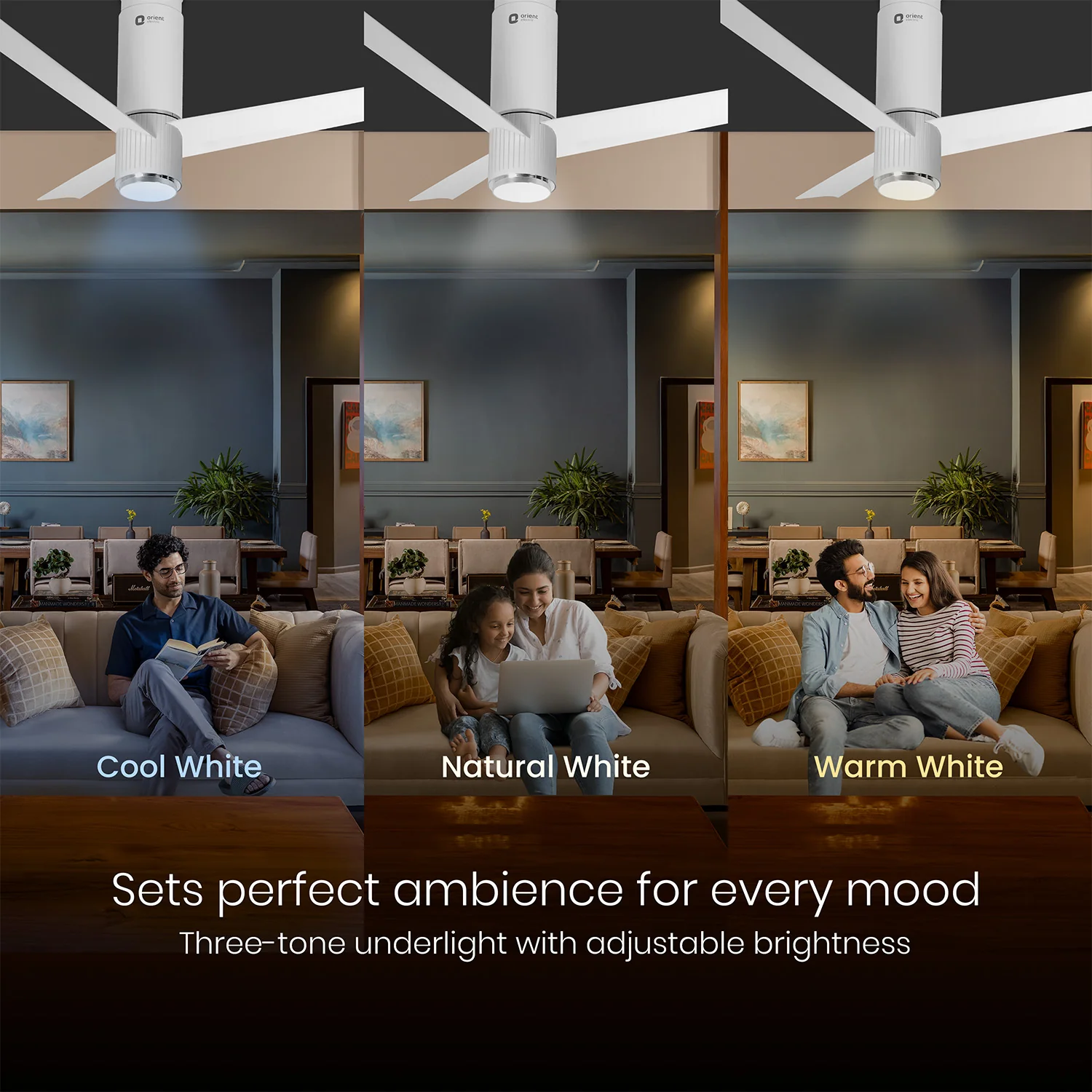 Aeroslim IoT Remote Fan with Light | 5-Year Warranty - Image 26