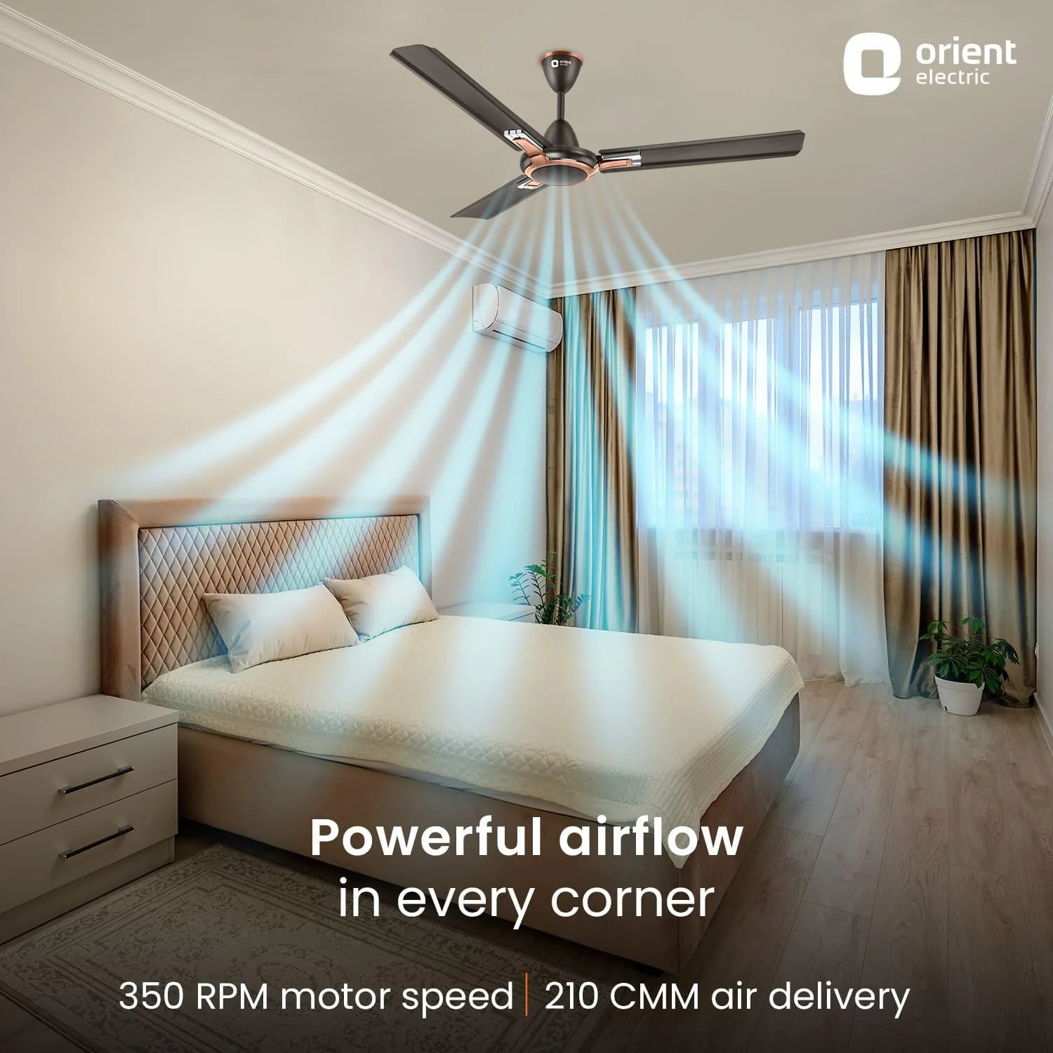 Apex Prime Ceiling Fan | 5-Year Warranty - Image 3