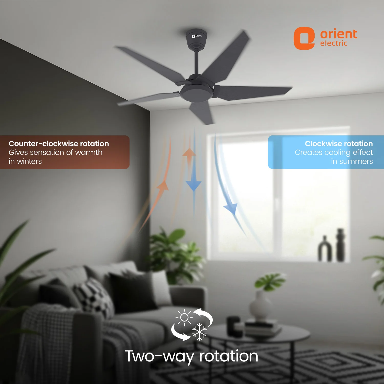 Artis BLDC Pro Ceiling Fan With Remote | 5 Star | 2 Way Rotation | 5 Blade | Black - Image 10