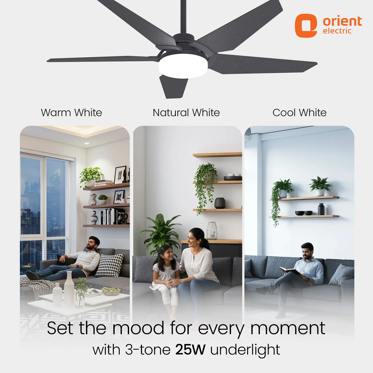 Artis BLDC Pro Ceiling Fan With Remote | 5 Star | 2 Way Rotation | 5 Blade | Black - Image 7