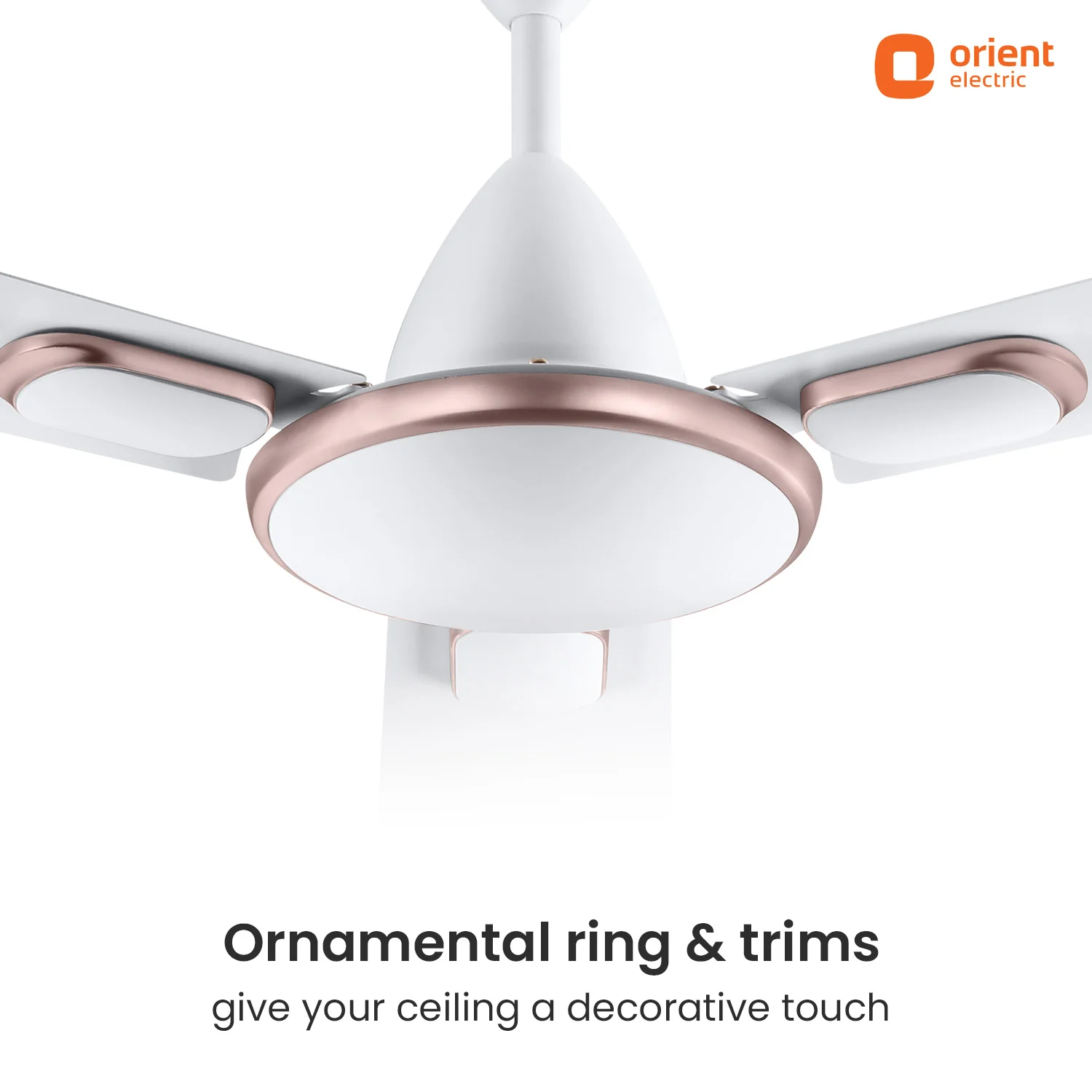 Blanco Decorative Ceiling Fan | 2-Year Warranty - Image 21