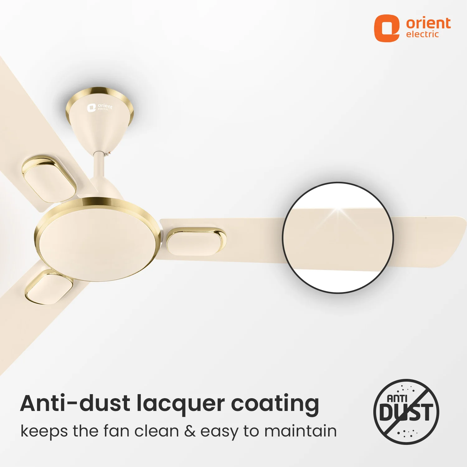 Blanco Decorative Ceiling Fan | 2-Year Warranty - Image 33