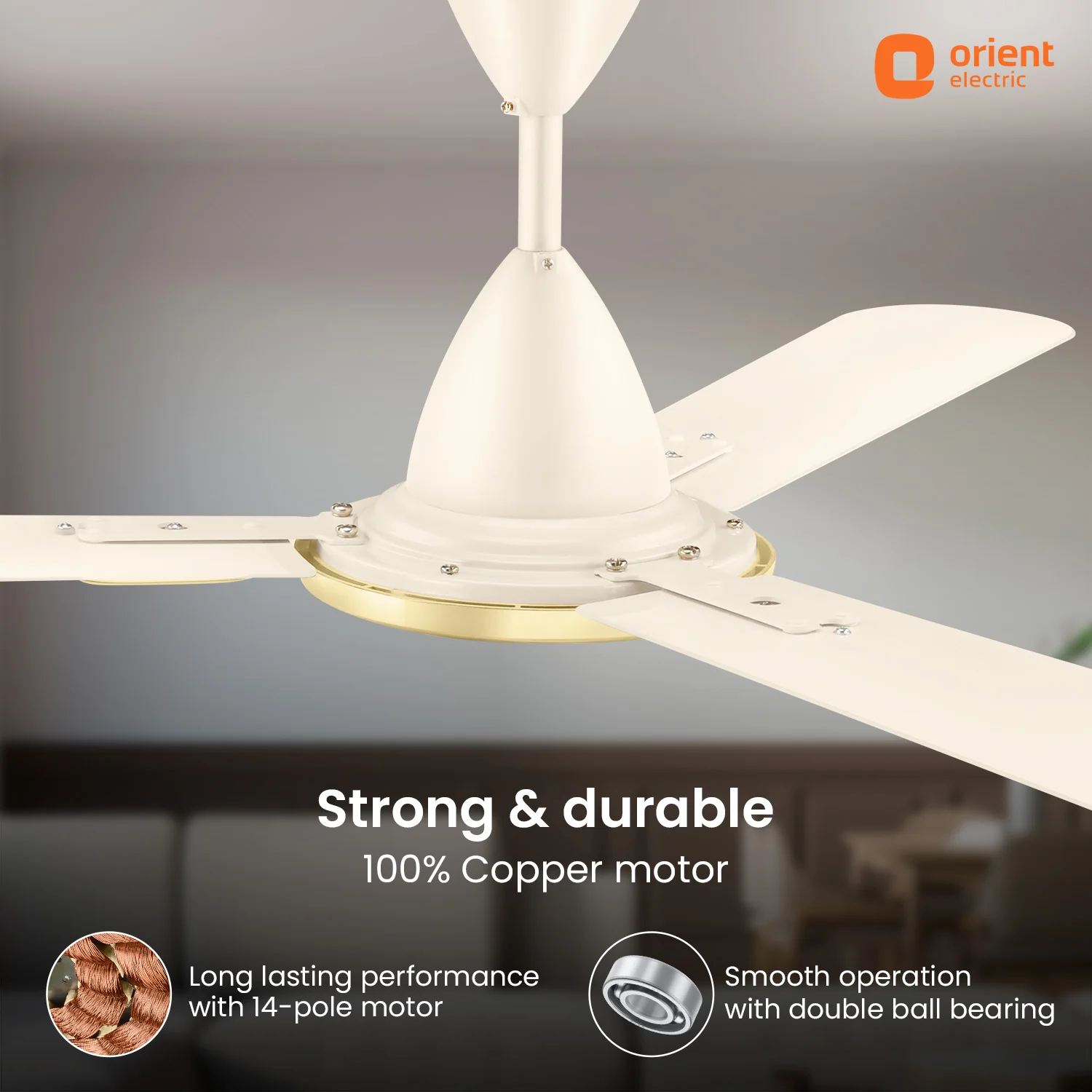 Blanco Decorative Ceiling Fan | 2-Year Warranty - Image 35