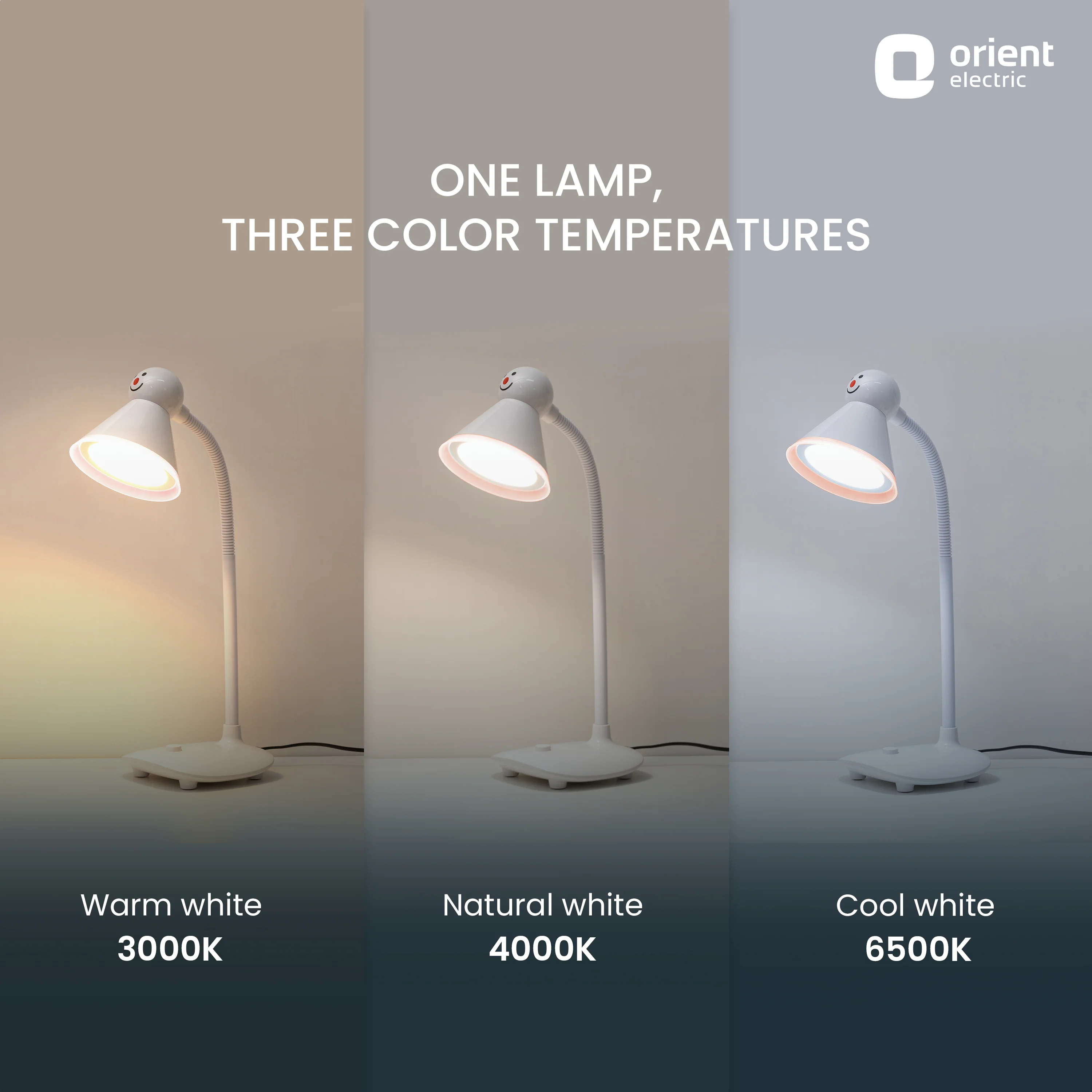 Cosmos LED Desk Lamp (3 Color Option) - Image 6