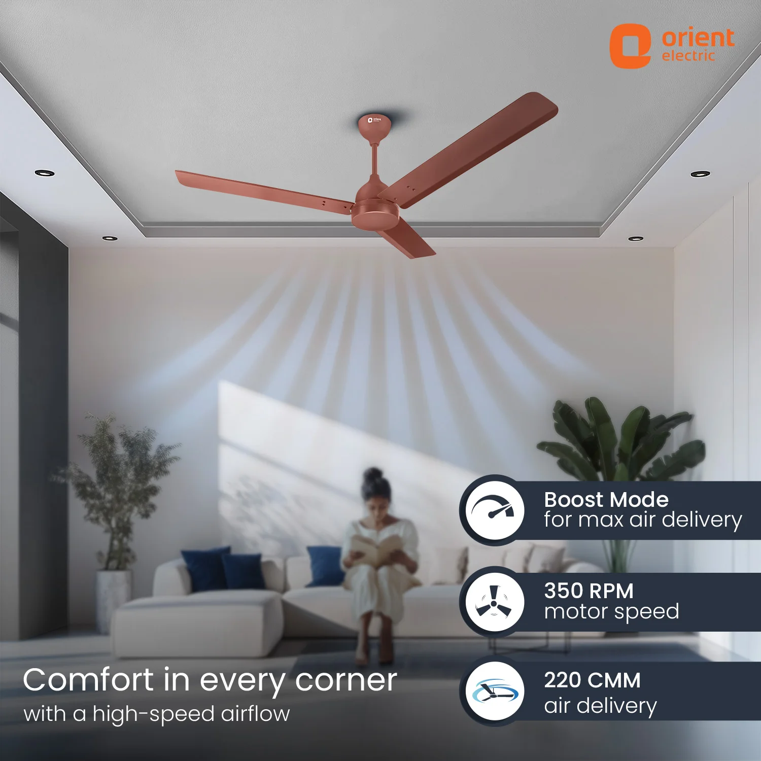 Ecotech Neu BLDC 5 Star Ceiling Fan | 3-Year Warranty - Image 12