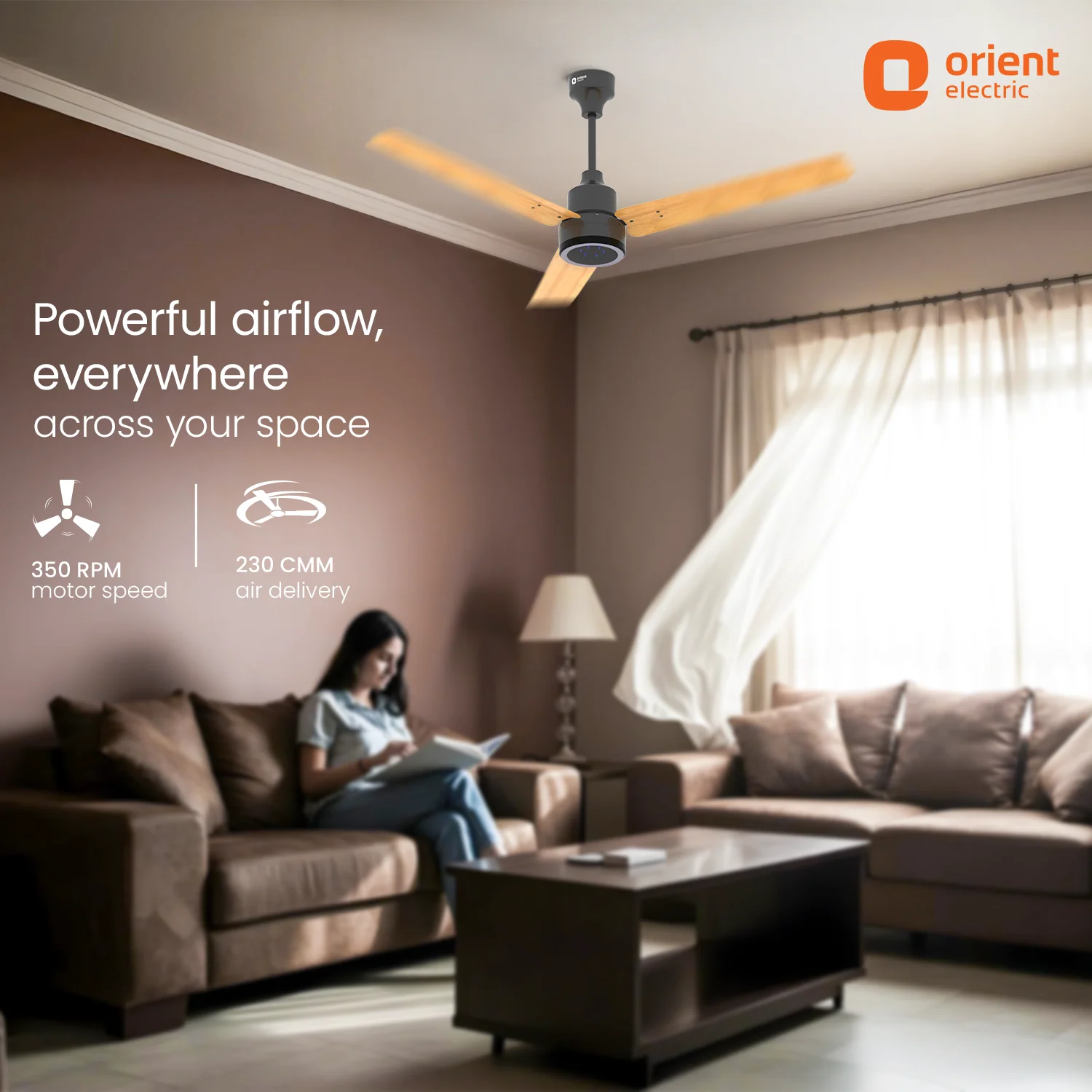 Ecotech Prime CX 5 Star BLDC Ceiling Fan with LED Indicator Light - Image 19