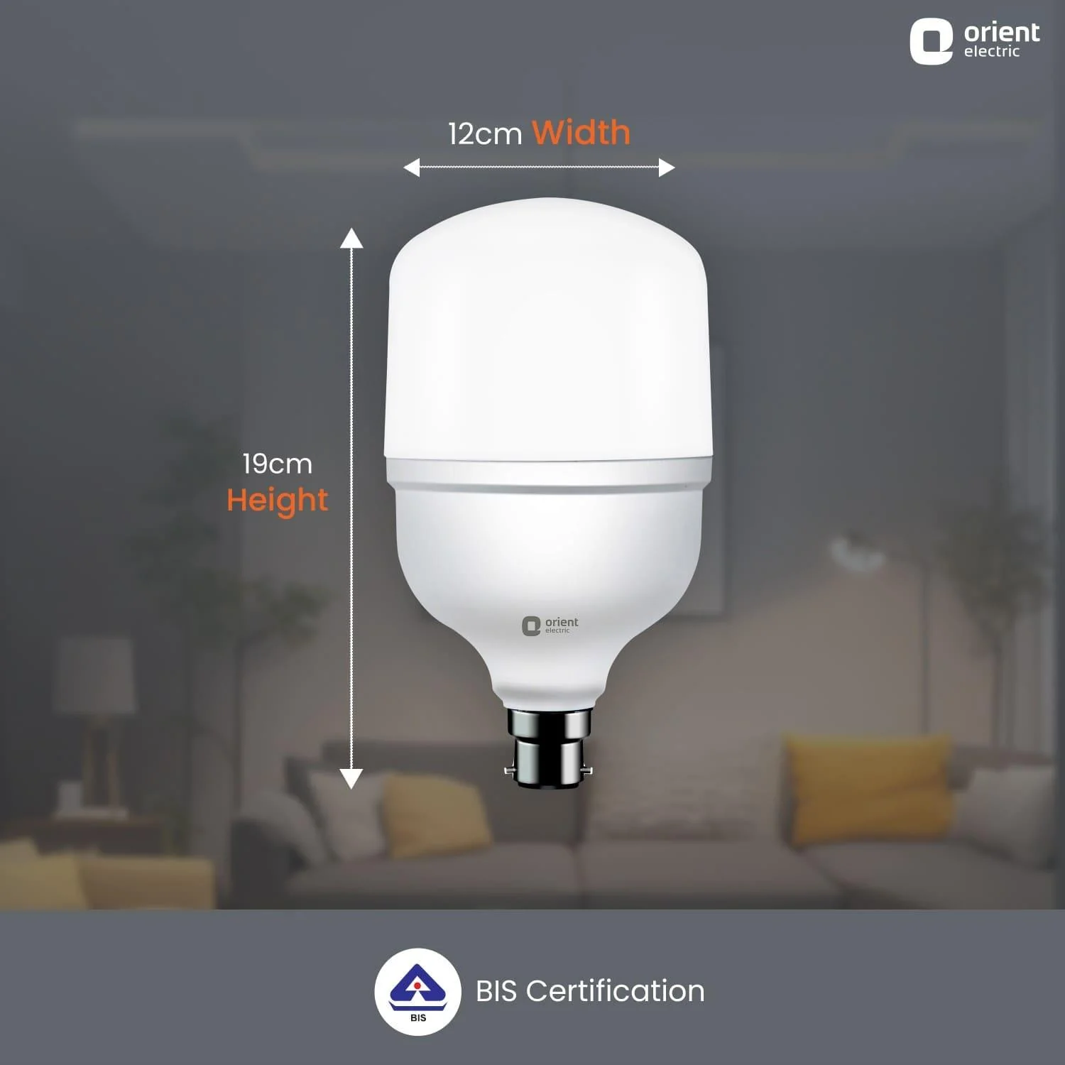Eternal Shine LED Bulb - Image 13