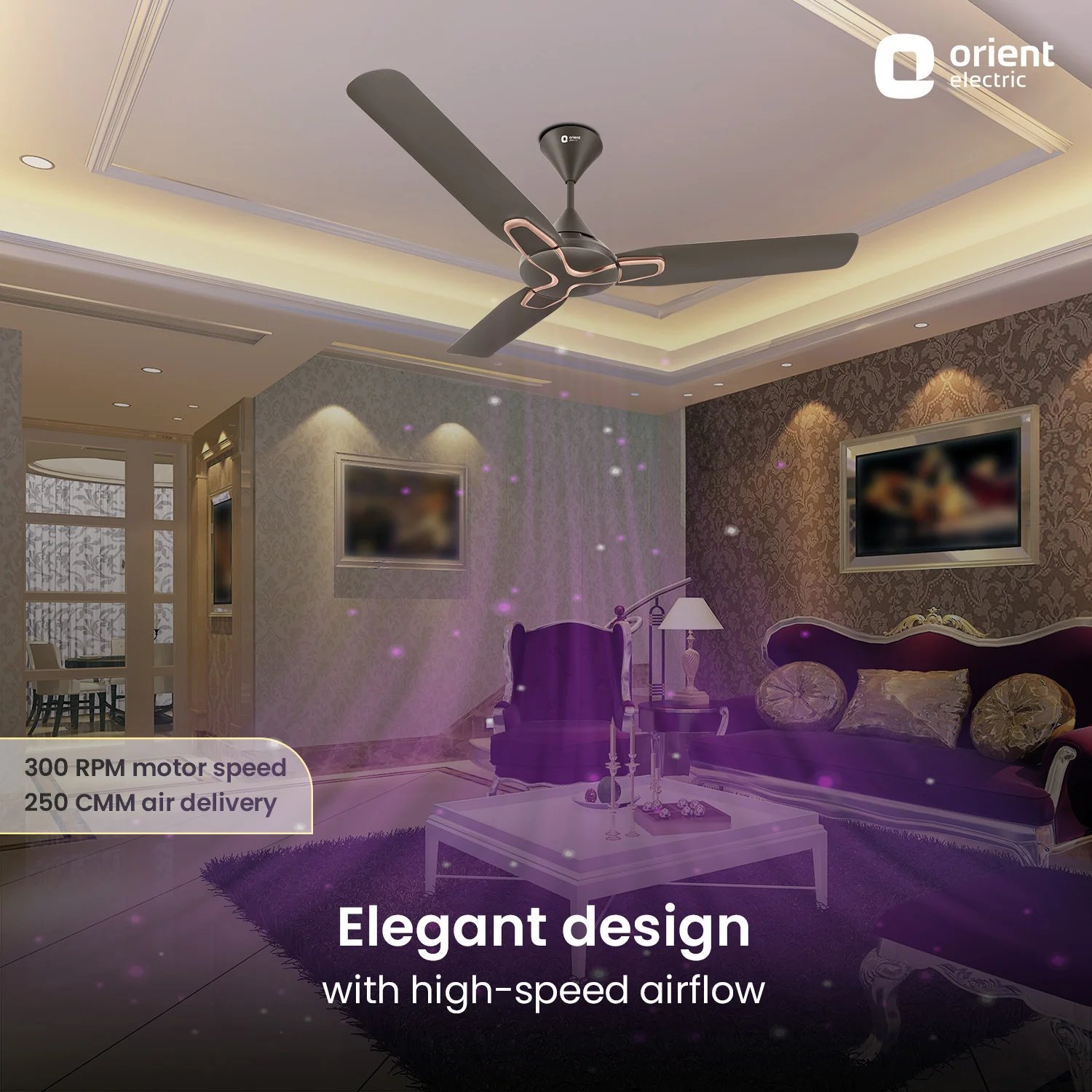 Jazz High Speed Ceiling Fan | 2-Year Warranty - Image 4