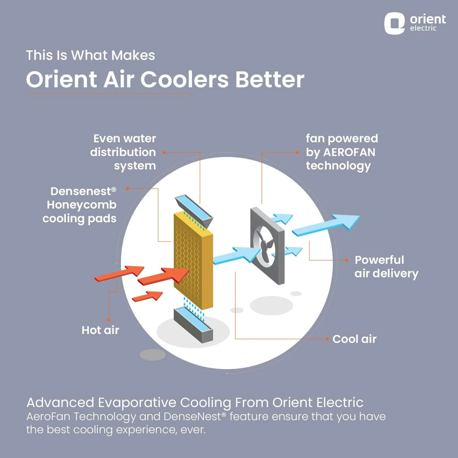 Knight Desert Air Cooler with Honeycomb pads, Ice Chamber & Dust Filter - Image 11