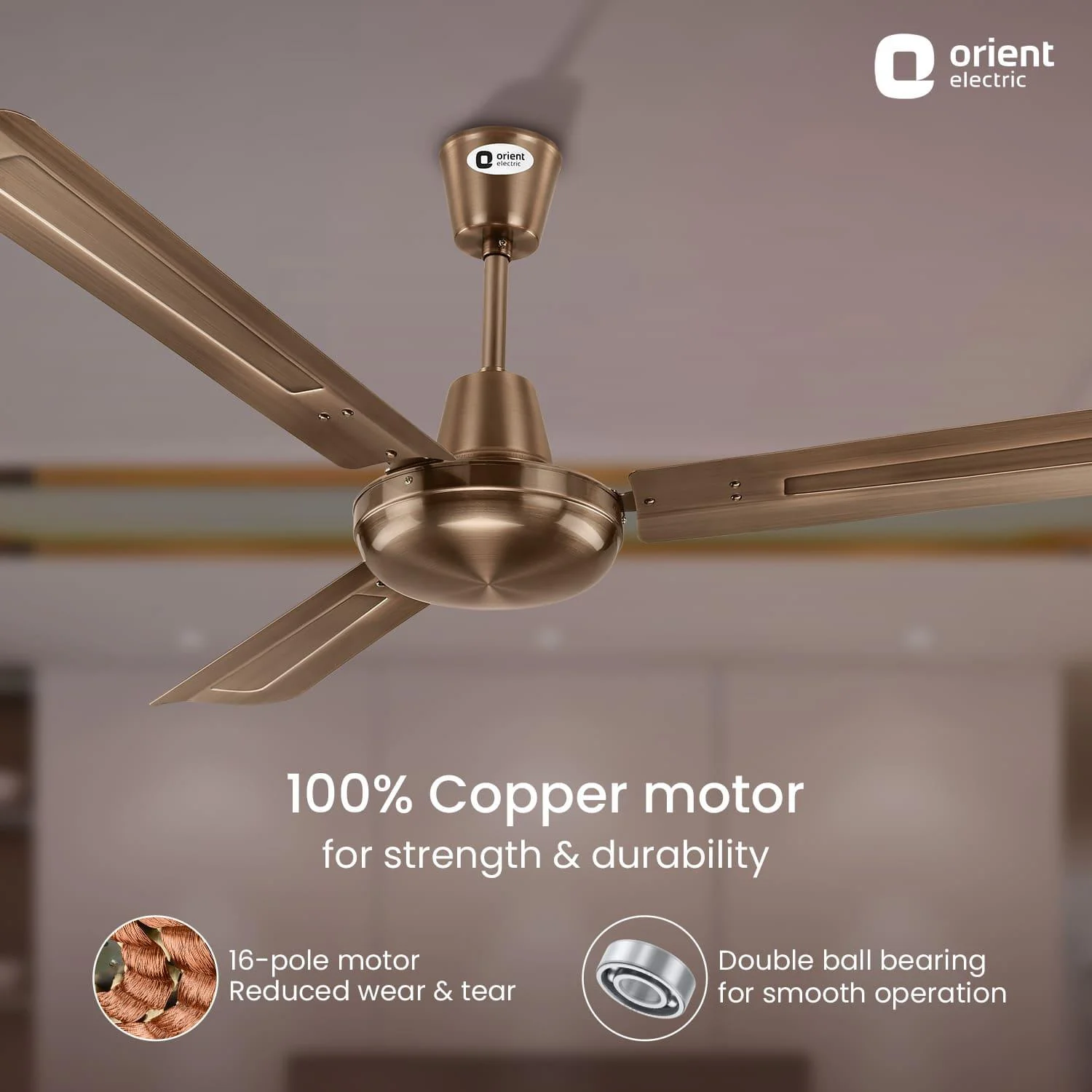 Quasar Ceiling Fan | 2-Year Warranty - Image 12