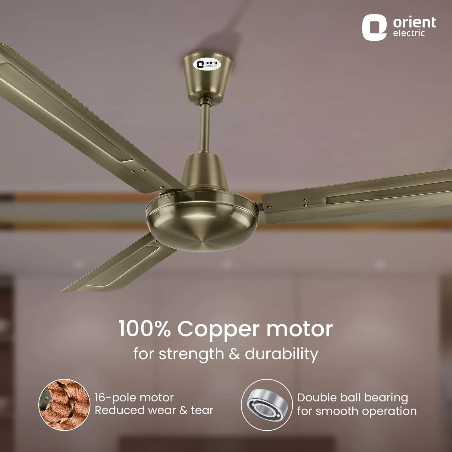 Quasar Ceiling Fan | 2-Year Warranty - Image 6