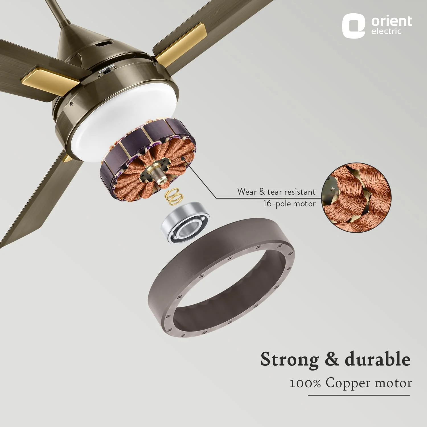 Spectra with Remote & Underlight Ceiling Fan - Image 14