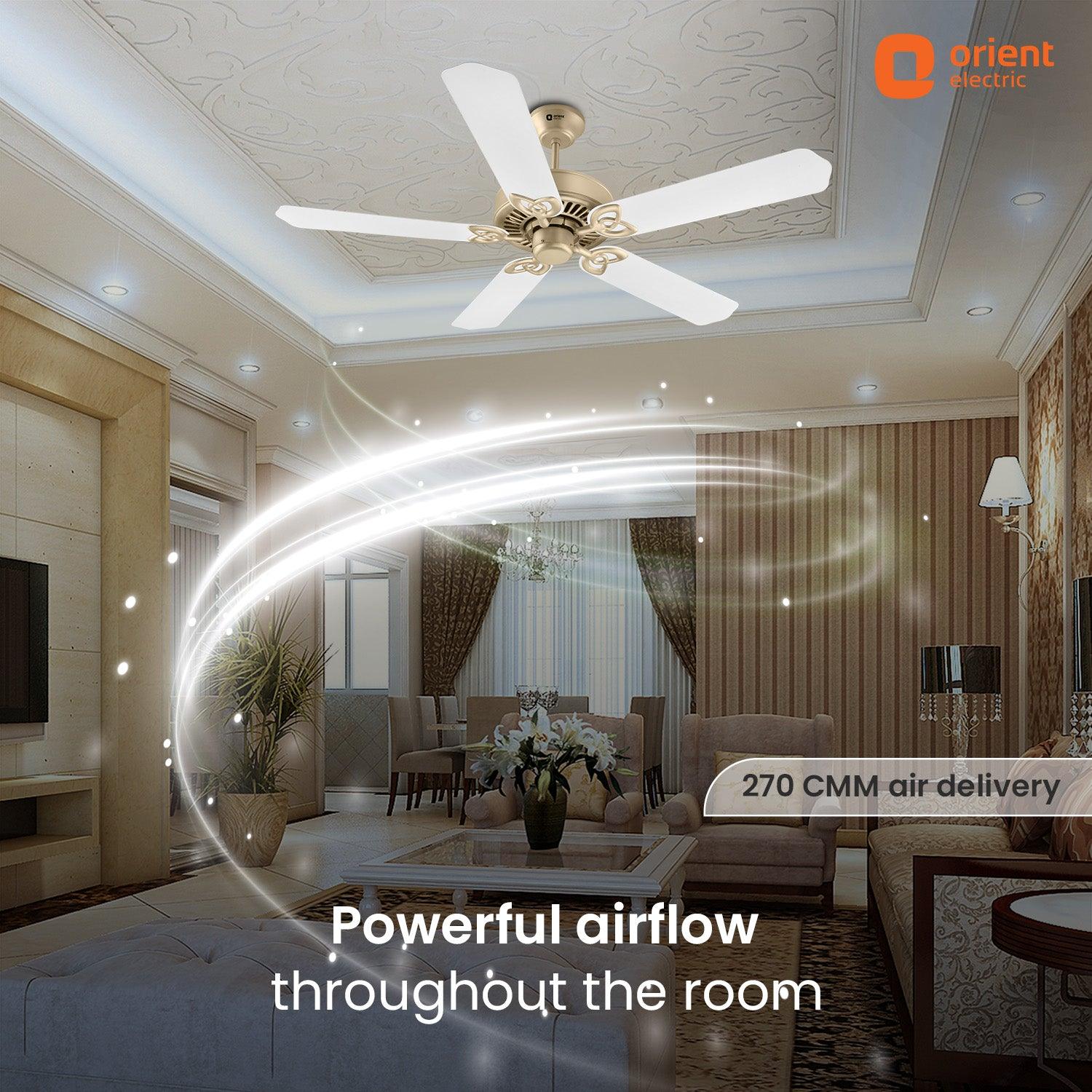 Subaris Royal Premium Ceiling Fan - Image 15