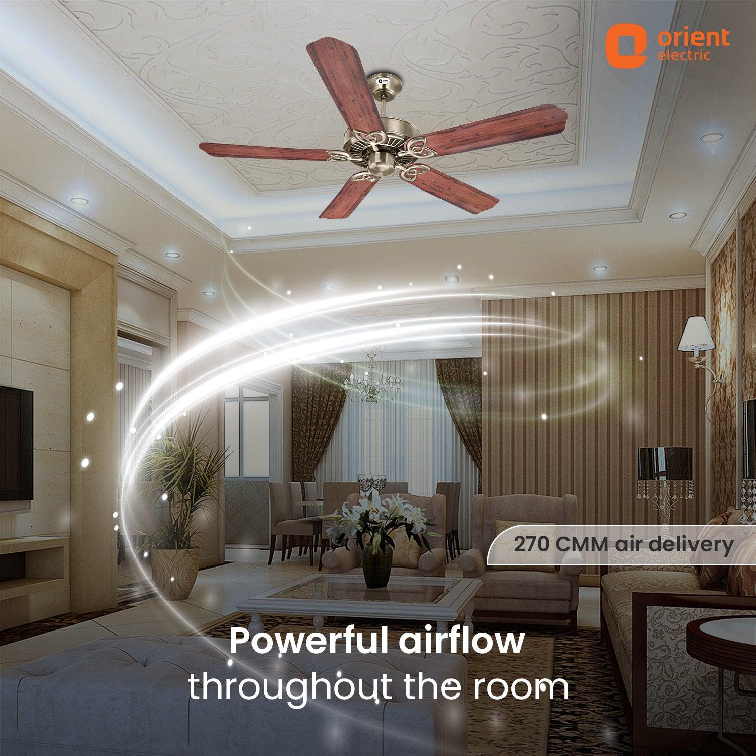 Subaris Royal Premium Ceiling Fan - Image 3