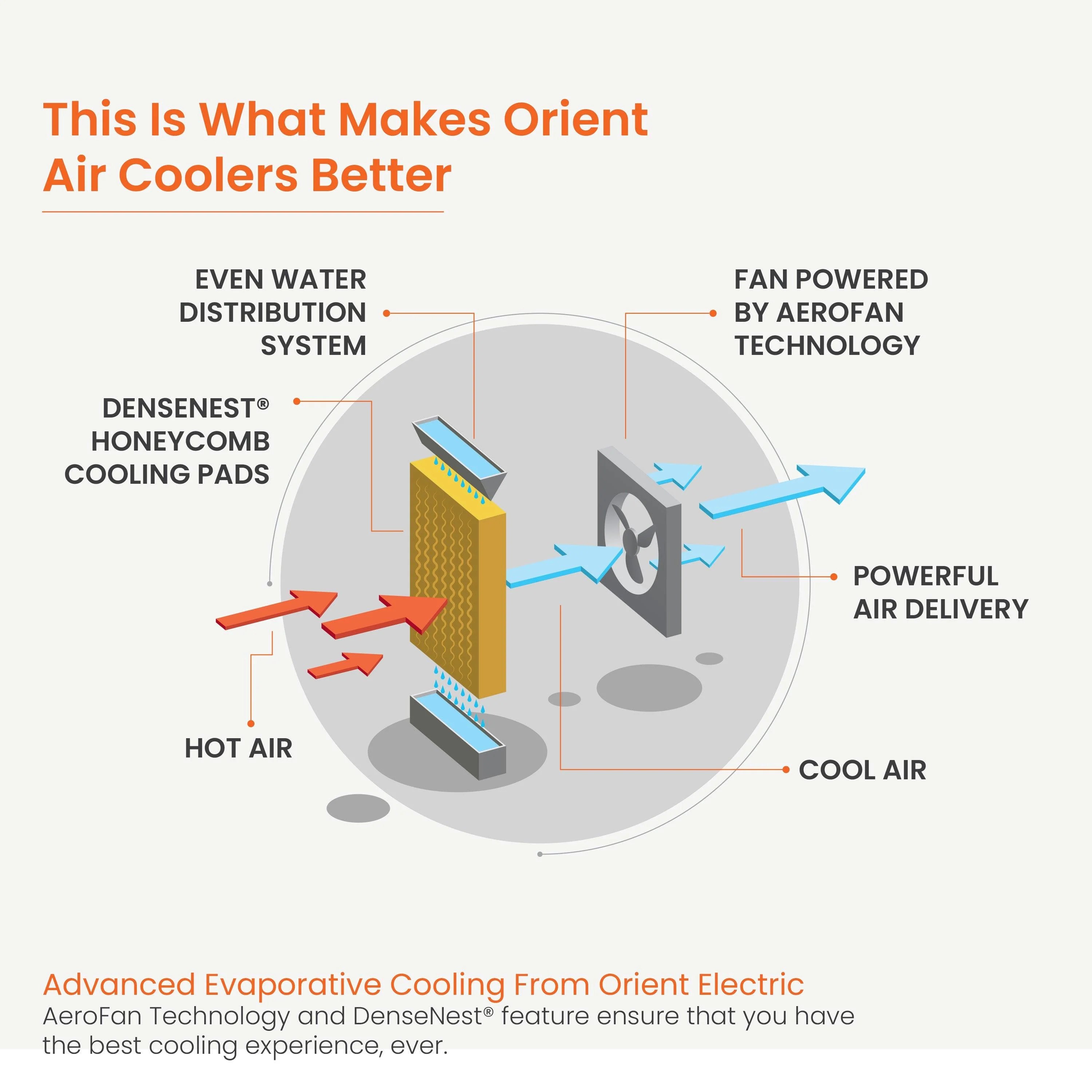 Titan Desert Air Cooler with Honeycomb Pads - Image 5