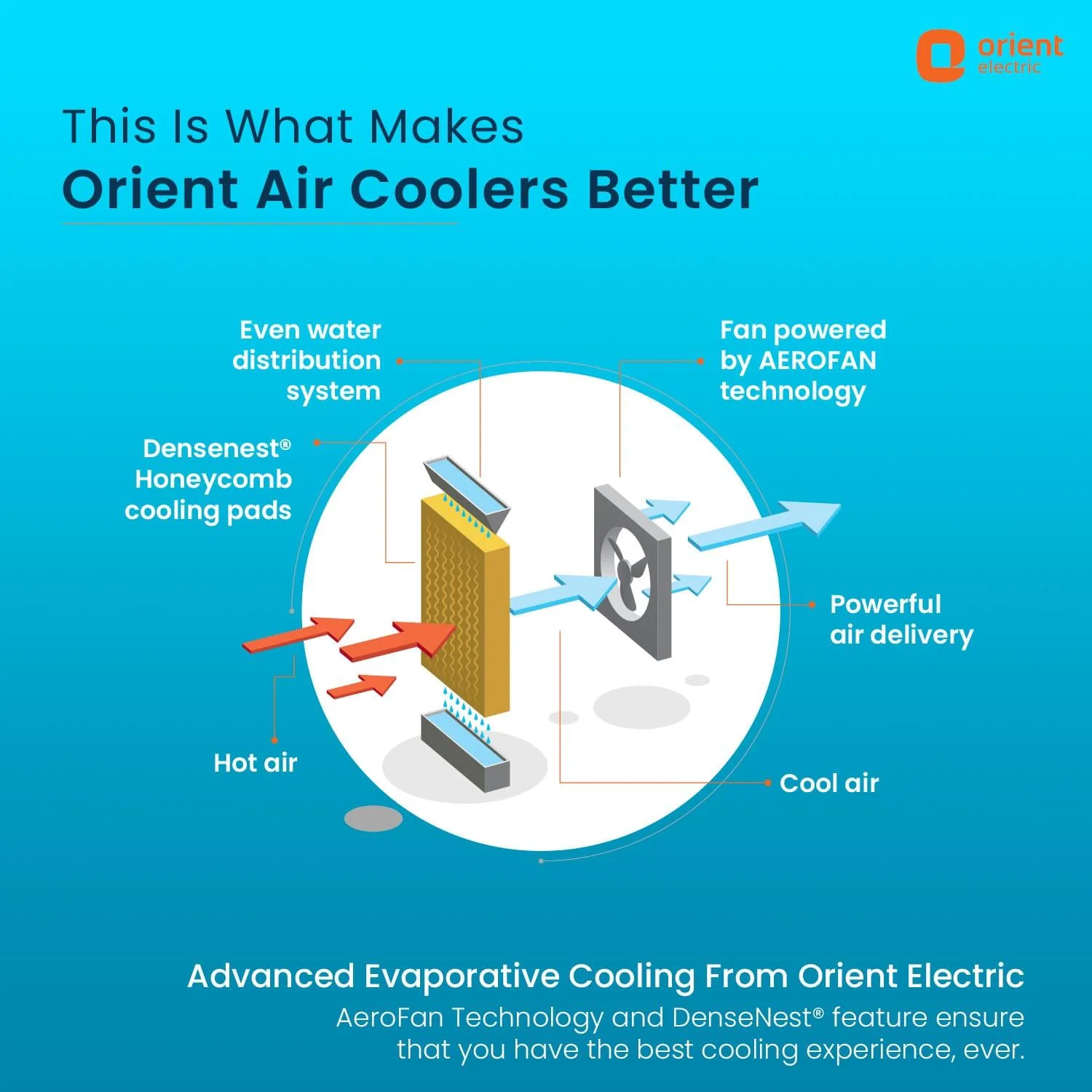 Ultimo Tower Air Cooler With Remote - Image 20